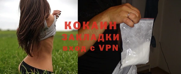 шишки Куйбышев