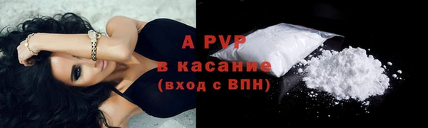 хмурый Козельск