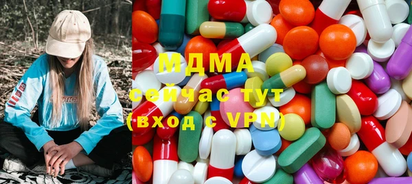 гидра Кодинск