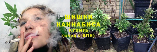 МДПВ Костерёво