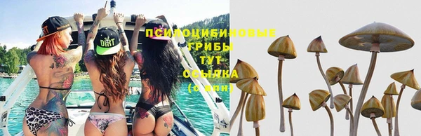 мдма Краснослободск