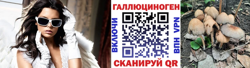 Галлюциногенные грибы Psilocybine cubensis  наркотики  Куровское 